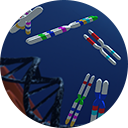 ChromoMatch Icon